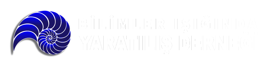LOGO10